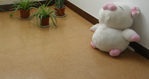 軟木地板的優(yōu)勢(shì)是什么，中林帶你了解一下！